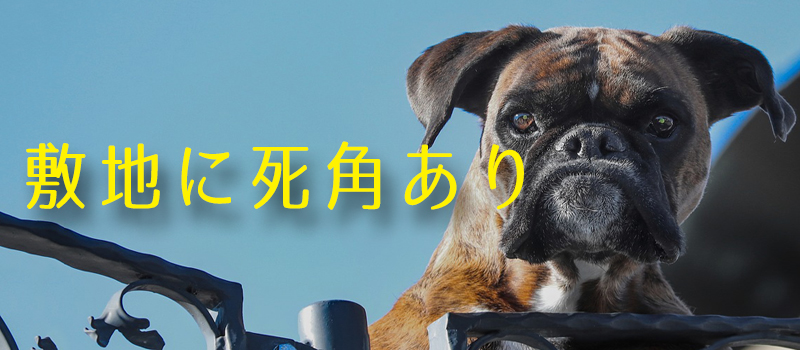 番犬と門