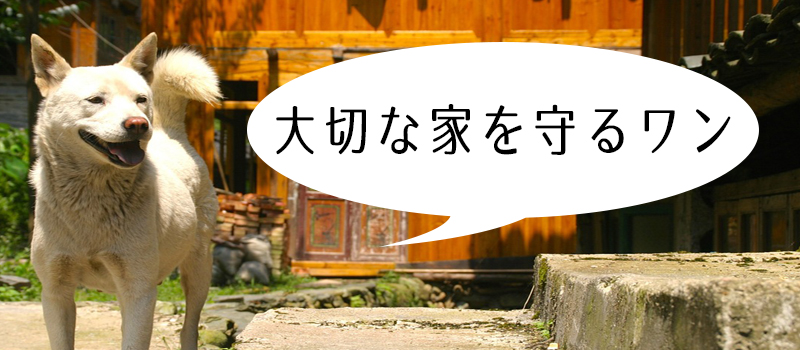 番犬