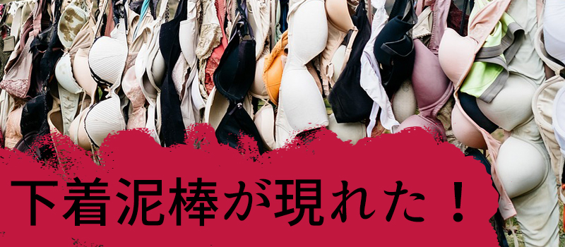 無数の下着